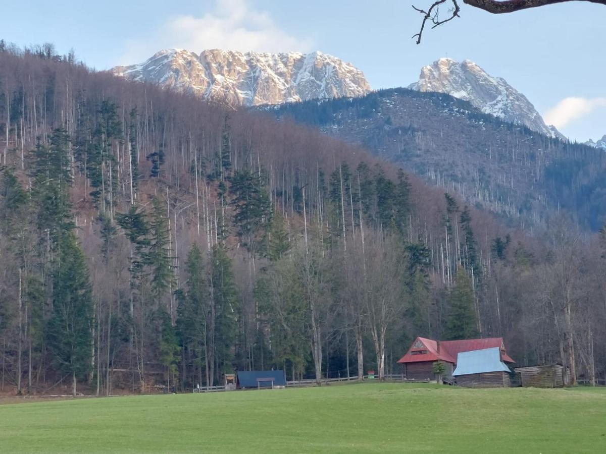 Apartament 3 Strazyska 21A Zakopane Eksteriør bilde